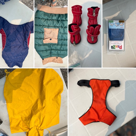 Dog Accessories - Picture 1 of 12